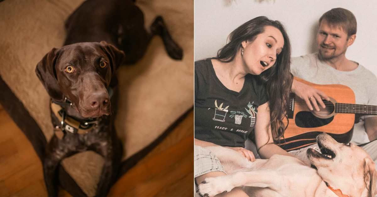 Foster dog plays along to couple singing — until one song sends her running for cover