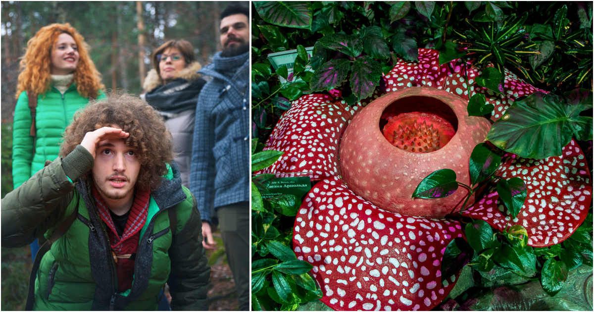 Biologist starts crying after finding flower he had been searching for 13 years