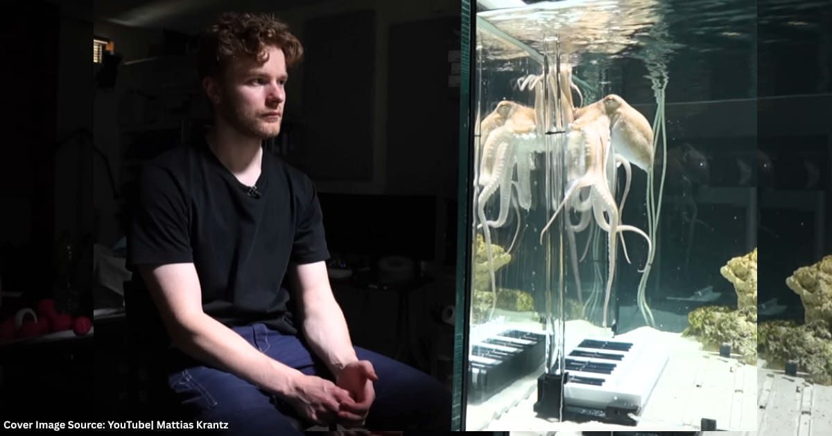 He bought an octopus at a South Korean market but decided to teach it how to play the piano instead