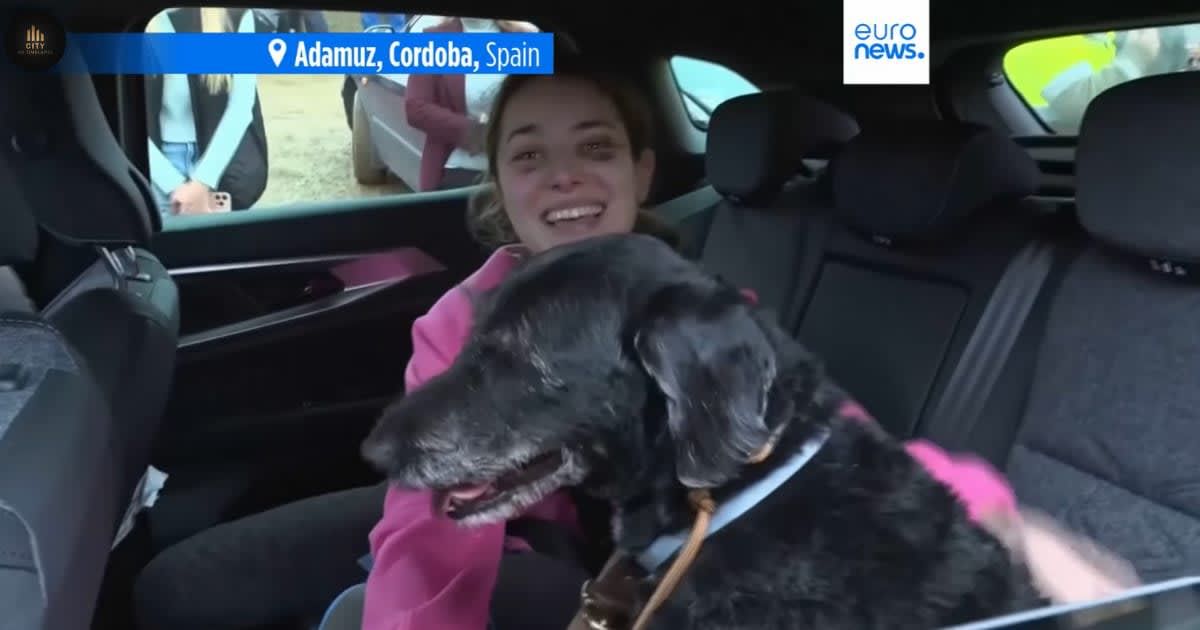 Heartbroken family thought they lost their dog in Spain’s high-speed train crash — until firefighters called