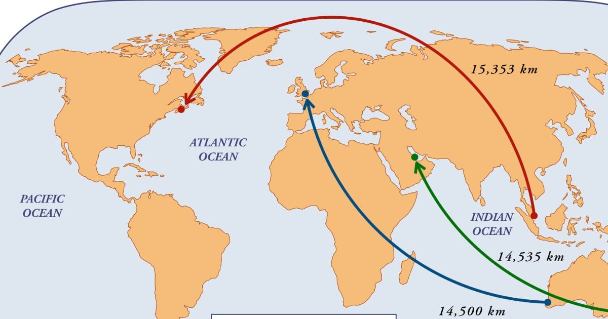 The world's longest flight doesn't travel in a straight line — and it has people confused