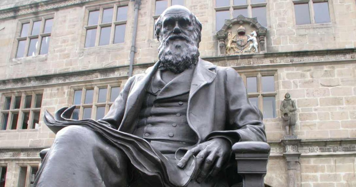 Charles Darwin's greatest regret in life was not indulging the Arts — and we're making the same mistake