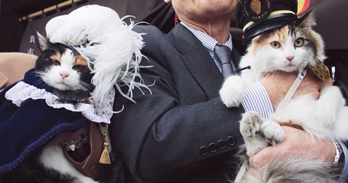 Japanese train station was on the brink of closing — until a feline stationmaster saved them
