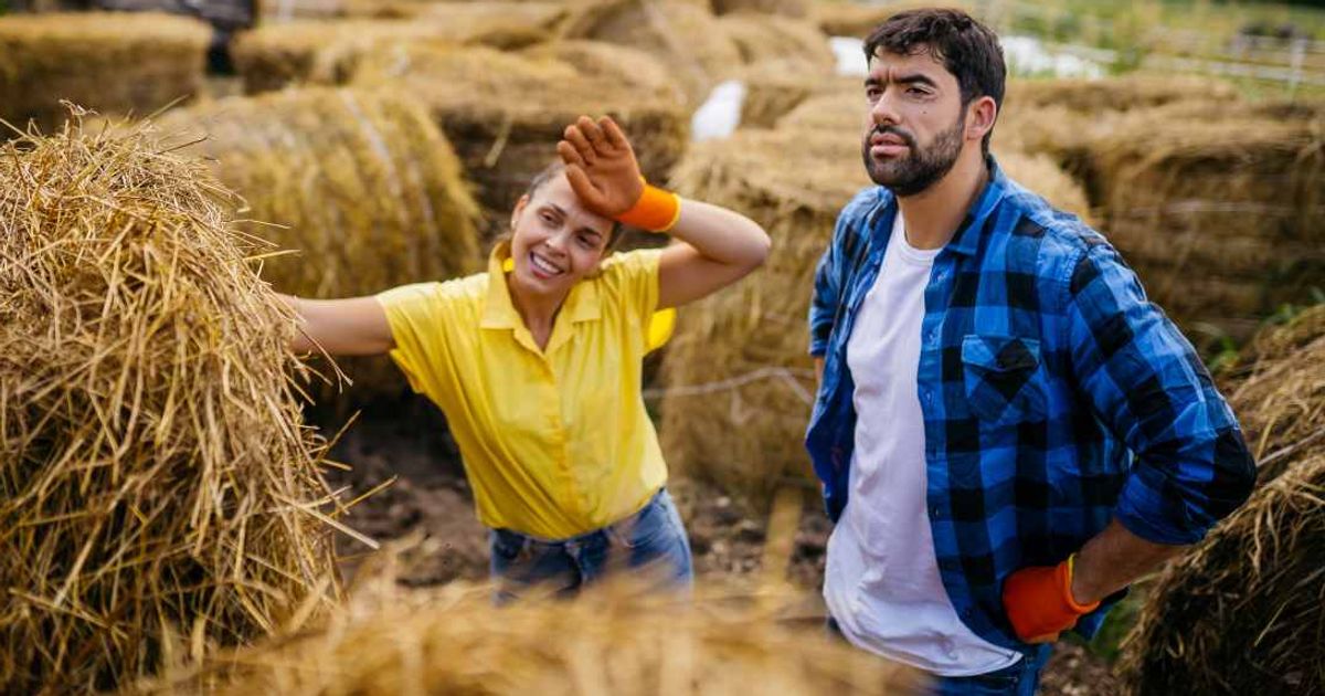 Twitch streamers tried to find a real needle in a haystack — and here's how long it took