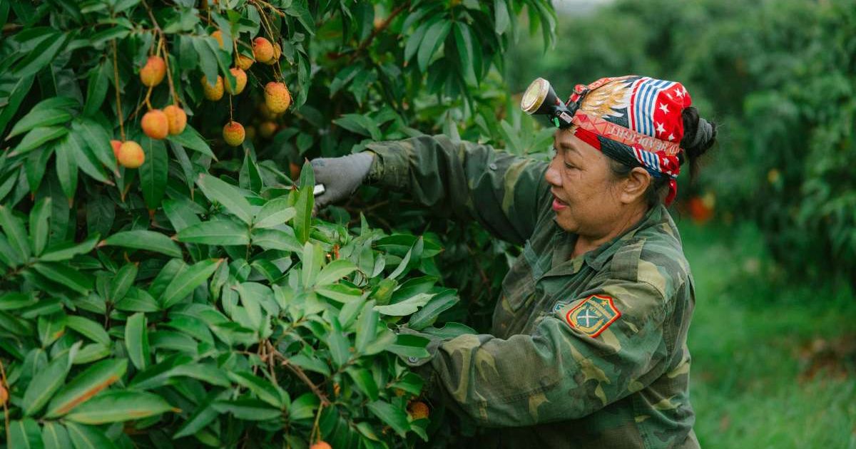 Teacher gave a farmer $5,000 to plant trees. She called 27 years later with an update