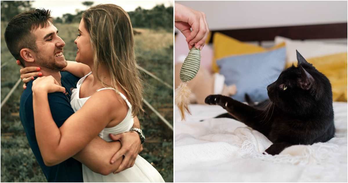 Woman thought she'd met the man of her dreams — until a cat toy in his Instagram post set off every alarm bell in her head