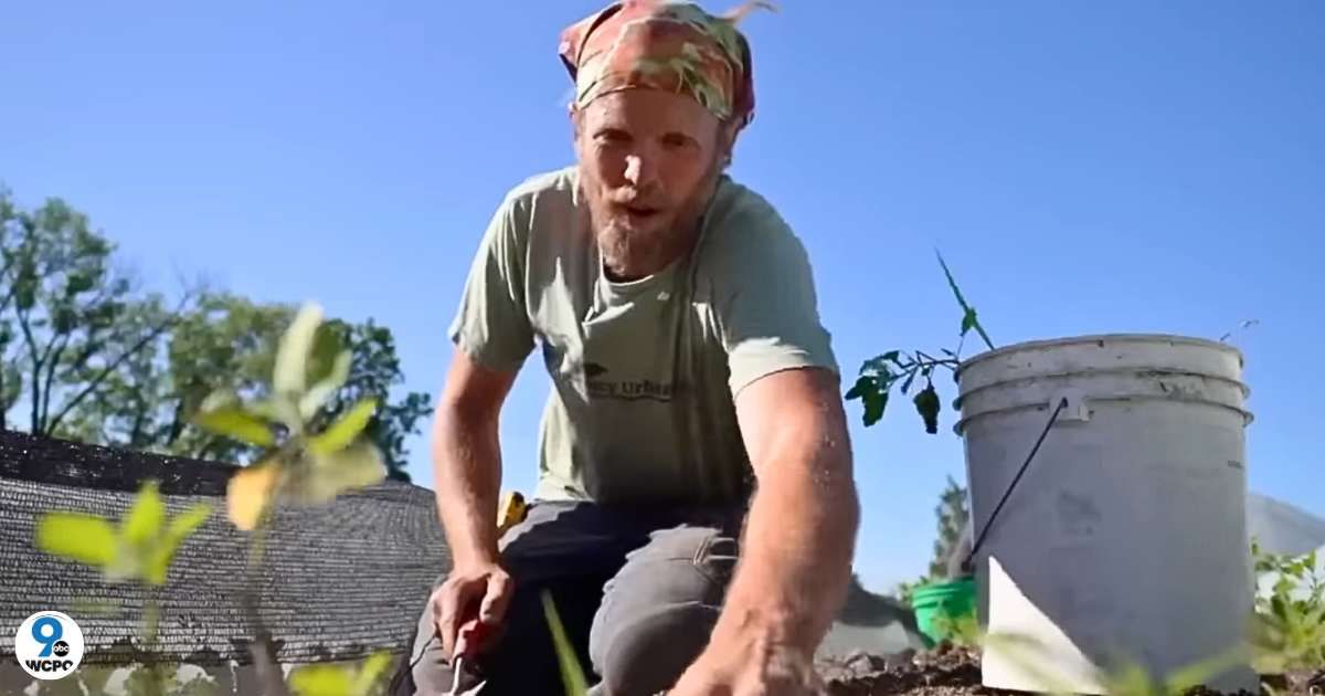 City officials took Ohio man to court after he ripped up his pretty lawn to start a vegetable garden — then 14 of his neighbors showed up in court