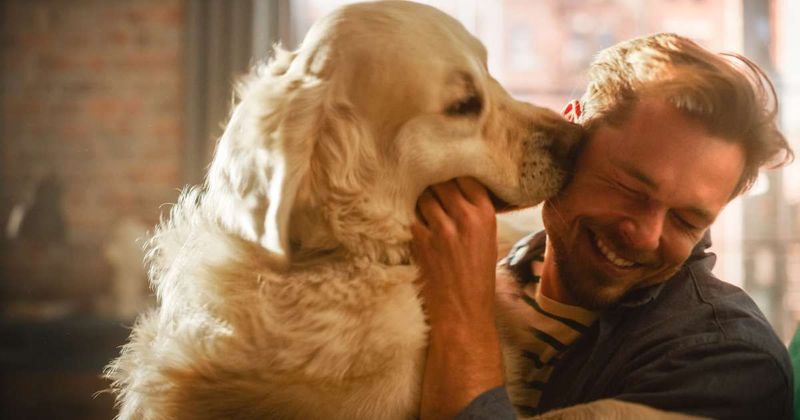 Her shy dog kept pouncing on a stranger’s crotch during walks. One detail in her apology saved the man's life