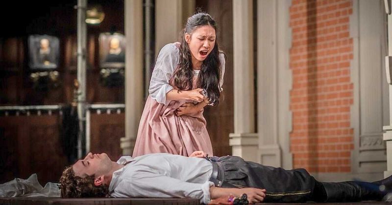 A cat crashed Romeo's death scene on a live stage. Even Shakespeare couldn't have written this