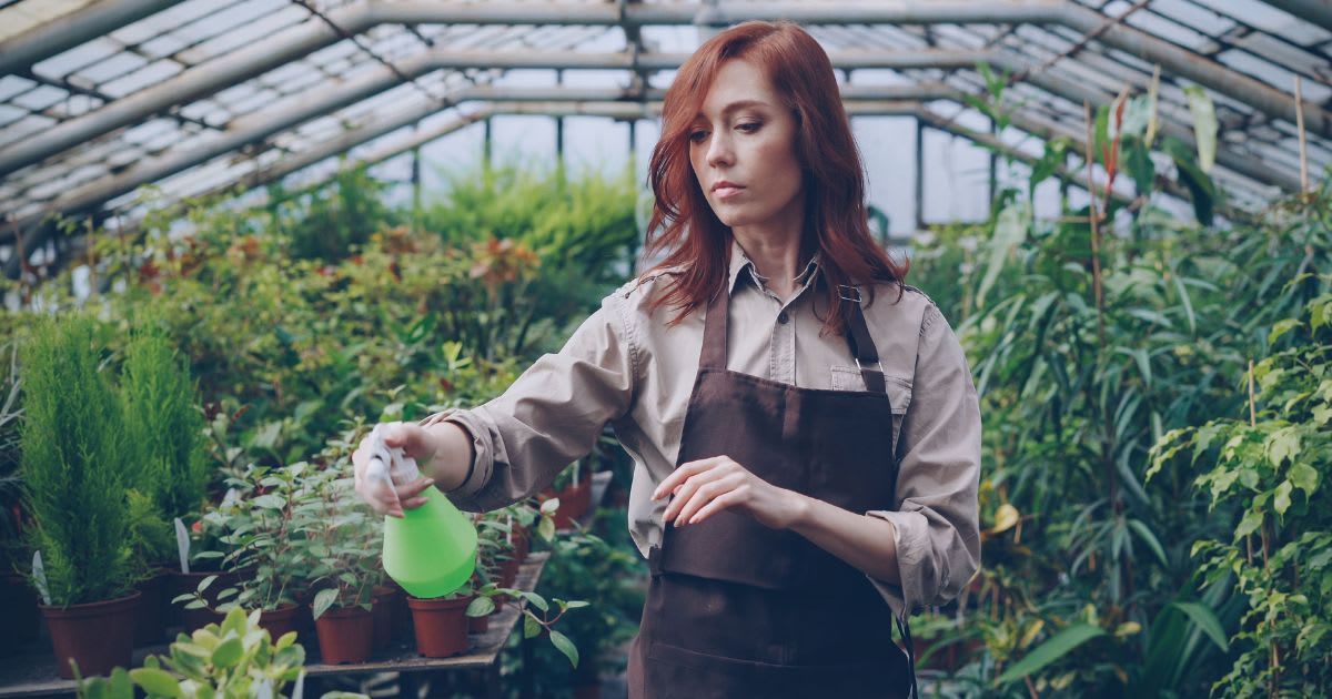 Saleswoman claimed spraying neighbor’s yard would drive bugs onto his lawn — unless he signed up too. One smart question left her embarrassed