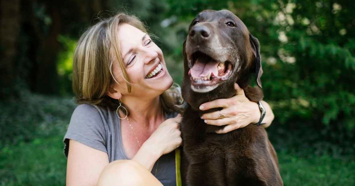 She rehomed lost dog after original owner failed to claim it — 3 months later, they confronted her at the dog park with an outrageous request
