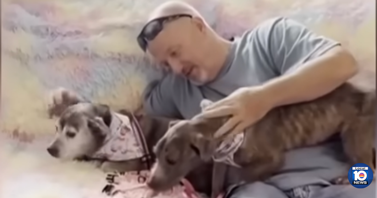 He thought he'd never see late dad's dog again. 10 years later, a rescue shelter called