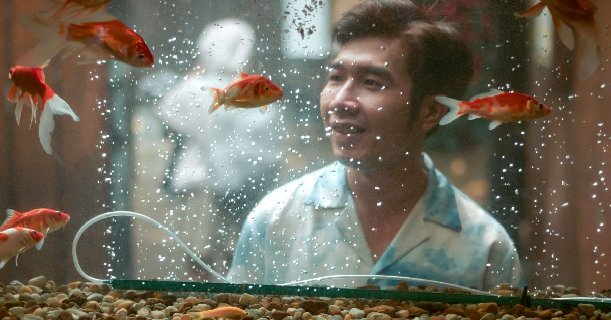 Boyfriend mocked him for housing ‘worthless’ goldfish in a $200 pond. It exposed a relationship-ending red flag he couldn’t unsee