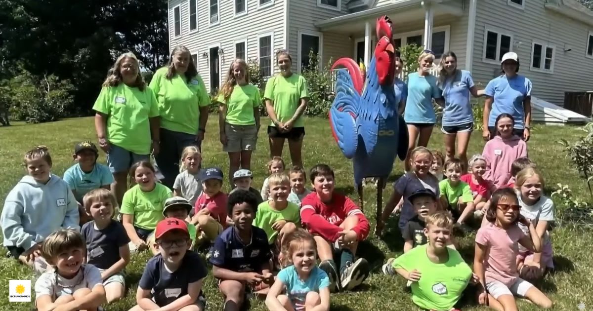 Officials fined a family over giant 'emotional support' roosters for their adopted daughter. Then the entire town answered, one yard at a time