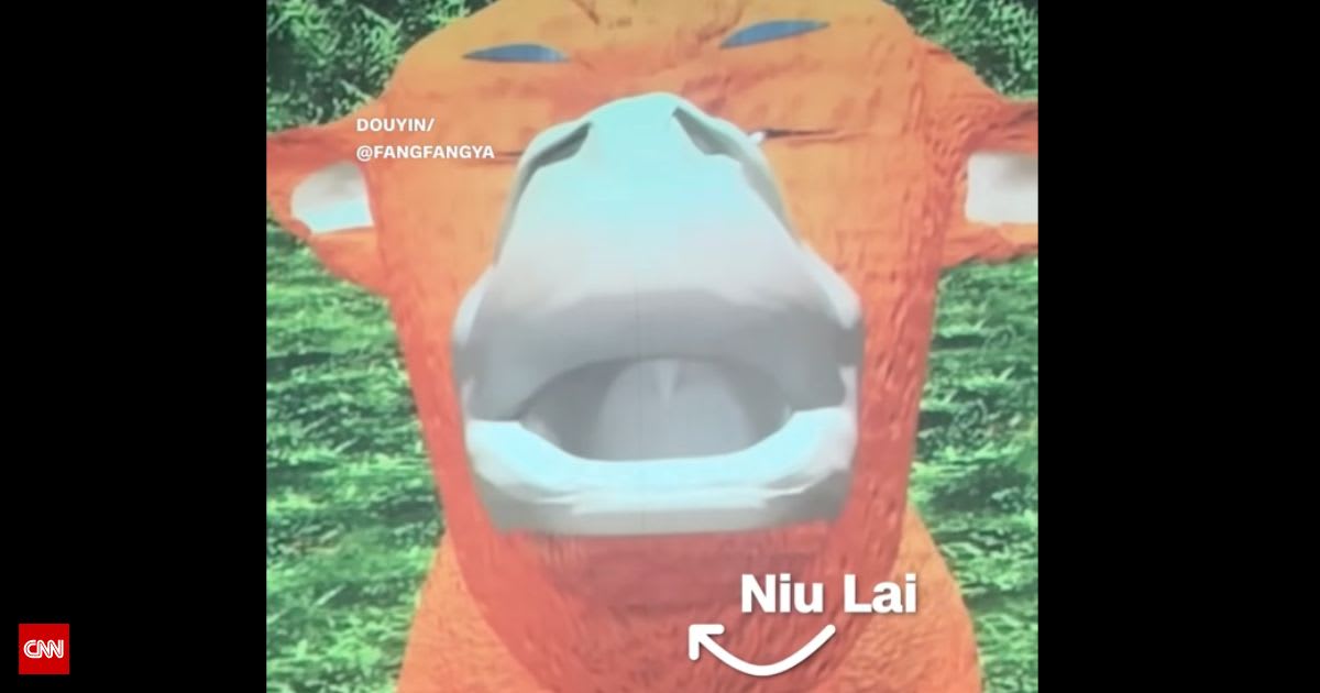 Terrible film that earned $1,400 in 10 days goes viral for its hilarious reviews — earns $2.5 million