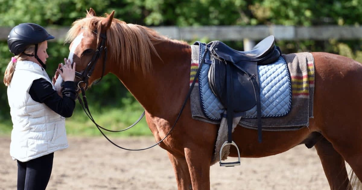 Wife's 'spidey senses' activated when husband acted nervous as she grabbed his phone. Then a horse photo proved her gut was right