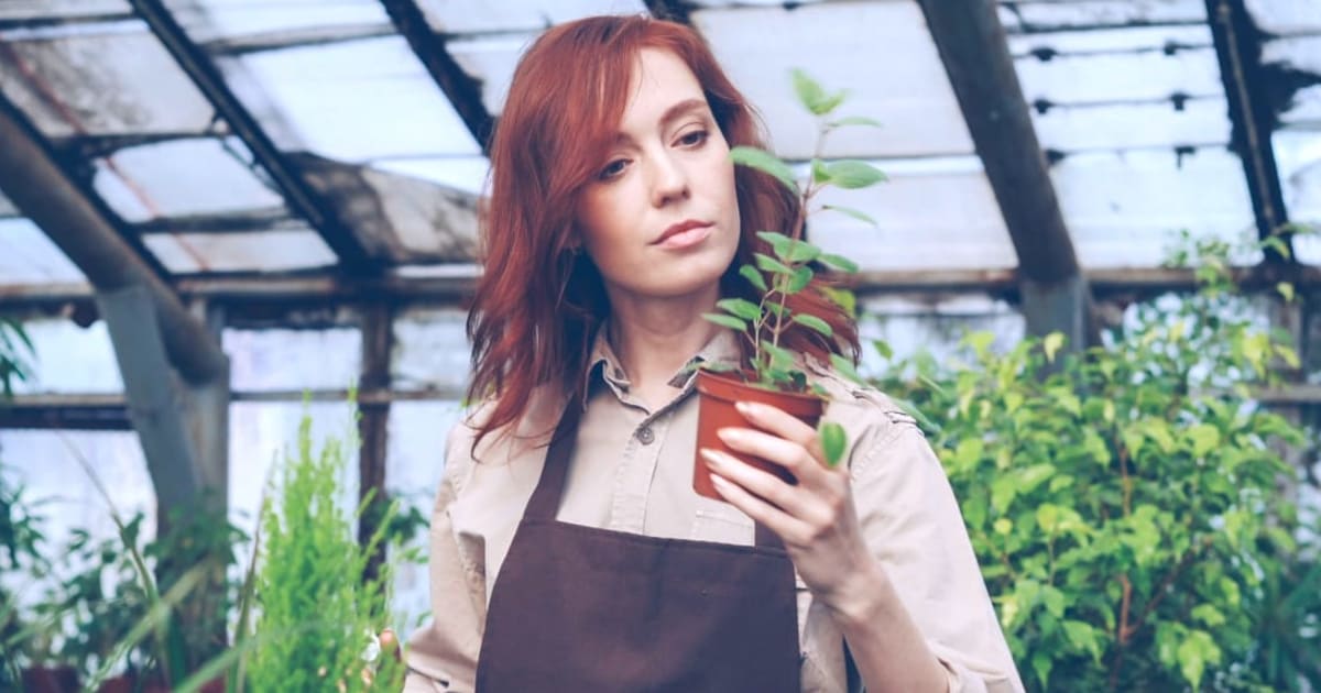 Woman spent 2 summers growing a wildflower garden, only for her MIL to rip it out in 4 hours. Her husband insisted she was only trying to help