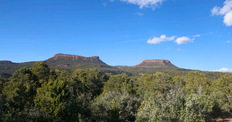 Biden revives efforts to protect Utah national monument that united five Native tribes