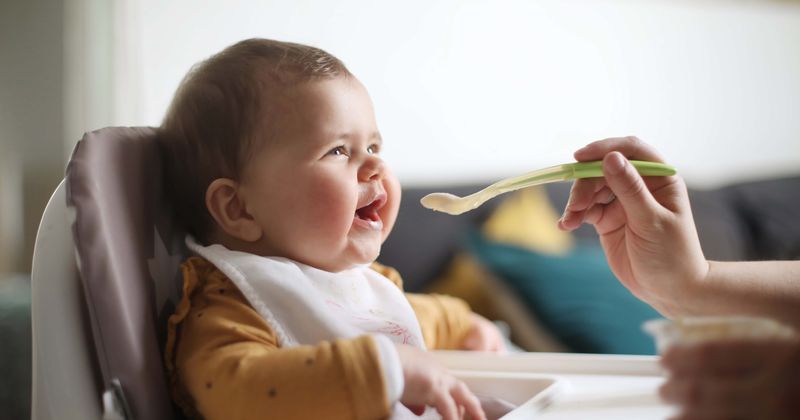 Leading baby food manufacturers reportedly sold baby food with known high levels of toxic metals