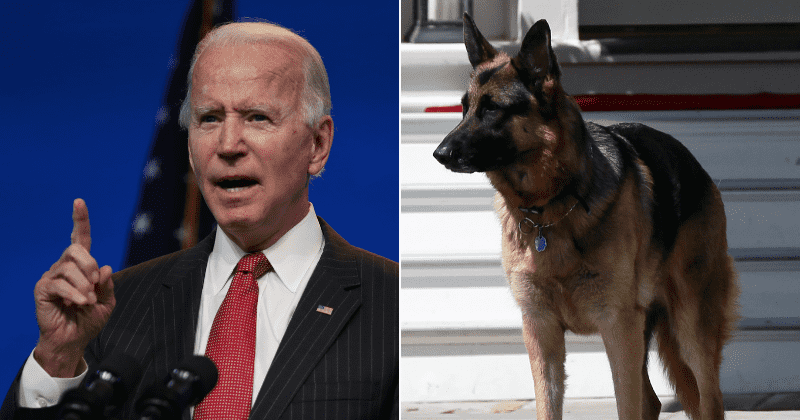 Biden’s two dogs moved to Delaware after a ‘biting' incident at the White House