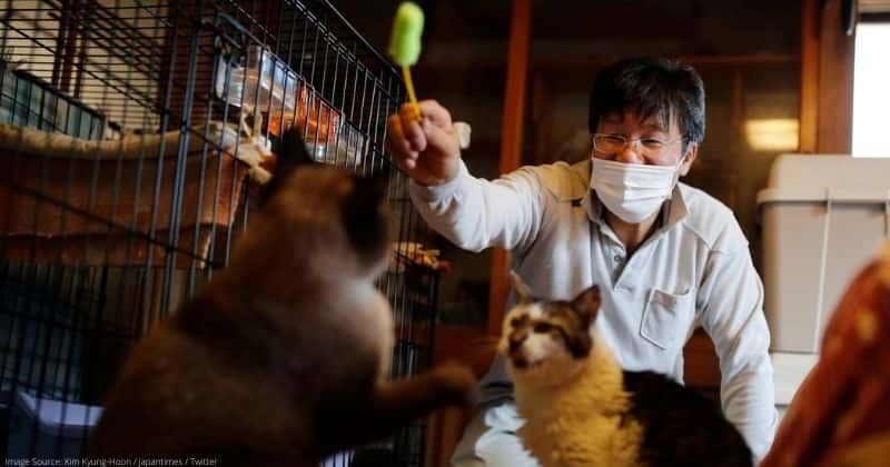 Meet the kind man who saves forgotten cats from Fukushima's nuclear zone