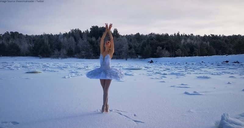 Russian ballerina dances on frozen ice to protest construction in Batareinaya Bay