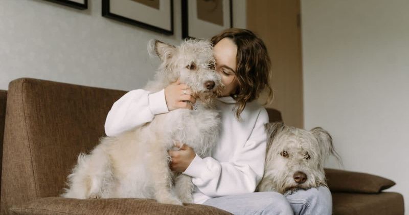Hospitalized wife asked to see the family dog one last time. Her husband knew he had to break the rules