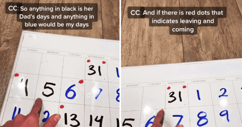 Mom's creates clever co-parenting calendar that helps kids transition between 2 homes