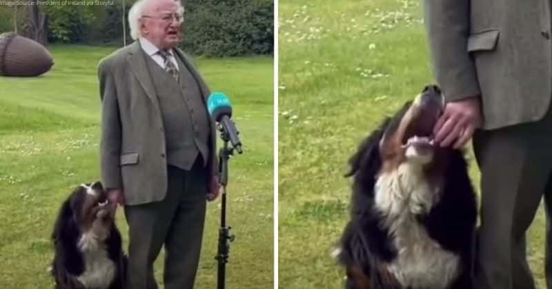 The President of Ireland tried to deliver a speech, but his adorable pupper stole the show
