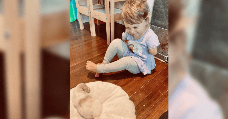 Toddler without hands gets a puppy without a paw: 'It's a beautiful thing'