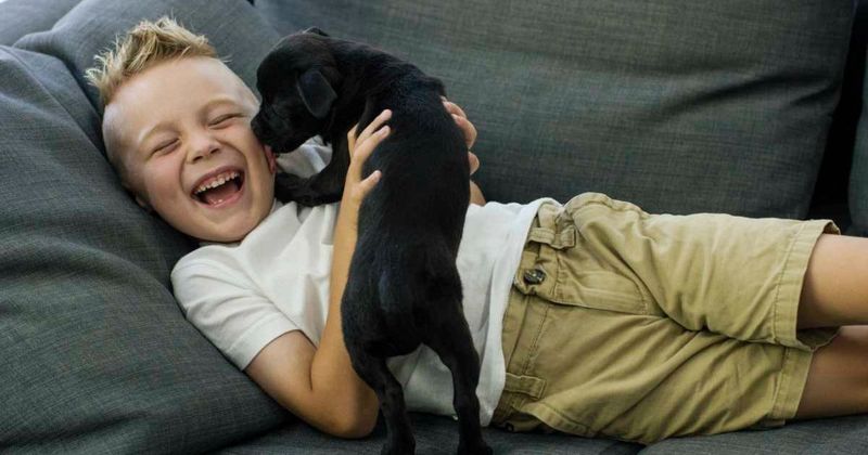 4th-grader was too shy to ask neighbors if he could walk their dog. So he wrote them a letter