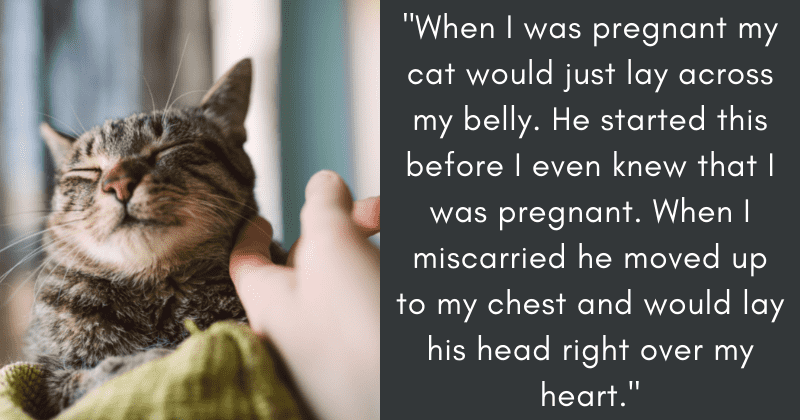 24 people reveal the kindest thing their pets have done for them
