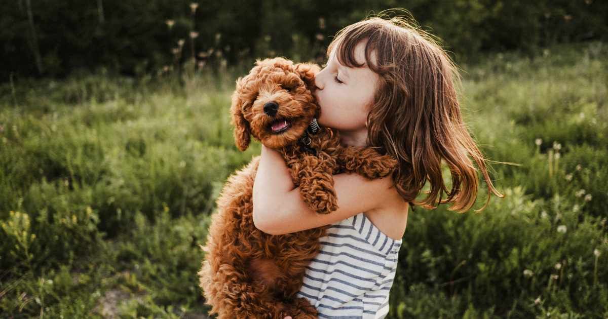 24 people reveal the kindest thing their pets have done for them
