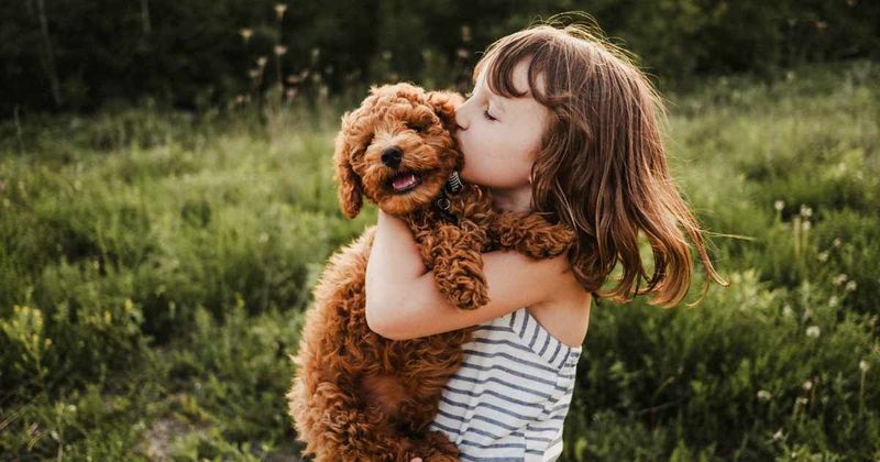 24 people reveal the kindest thing their pets have done for them