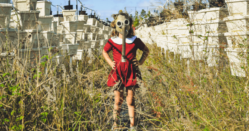 1972 MIT report predicted the collapse of society this century. Recent evidence says we're on our way