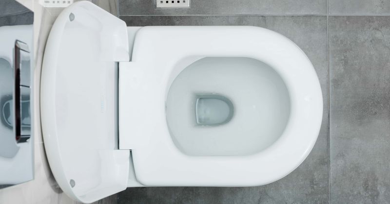 Professors invent toilet that turns poop into power and digital currency