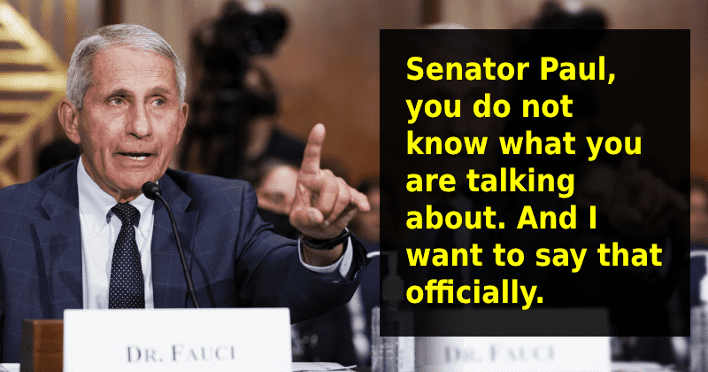 Dr. Anthony Fauci drags Sen. Rand Paul in terse exchange: 'If anybody is lying here senator, it is you'