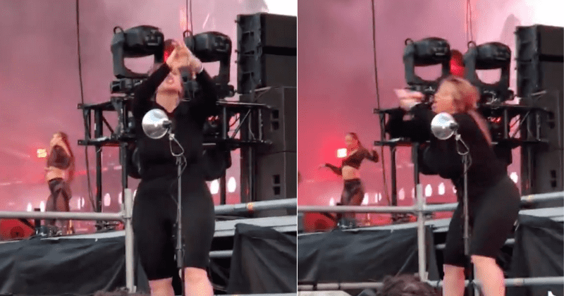 People are loving this ASL interpreter's rendition of 'WAP' at Lollapalooza