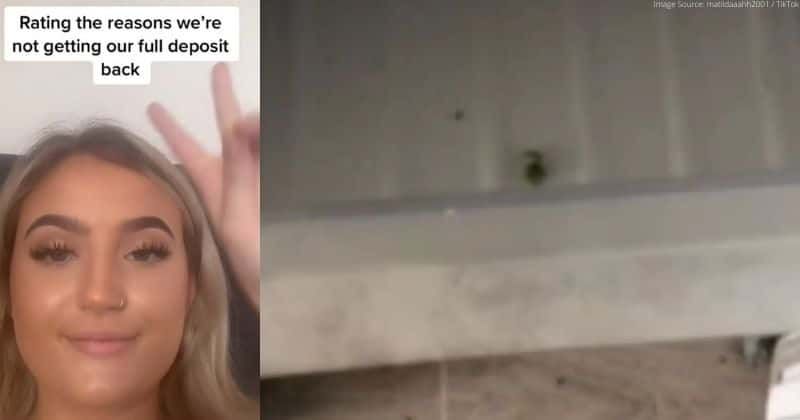 She didn't receive her full renting deposit back because of a single frozen pea. Yes, one pea.