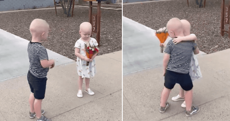 Three-year-olds who battled cancer together share emotional reunion after going into remission