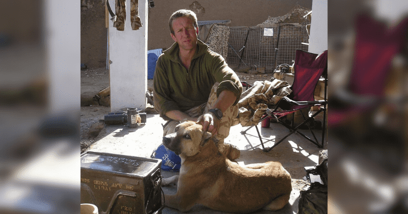Former Royal Marine is trying to rescue 200 shelter dogs and cats from Kabul. He's finally got approval.
