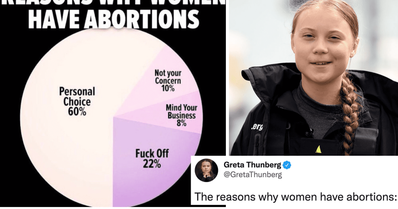 Greta Thunberg shares powerfully honest pie chart listing all the reasons women get abortions