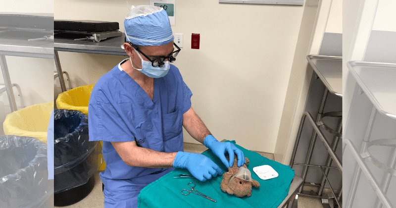 Neurosurgeon sews up ripped teddy bear at 8-year-old patient's request: 'How could I say no?'