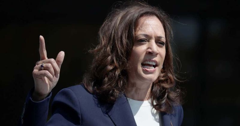 Kamala Harris denies Palestinian genocide: 'Your perspective, your experience'