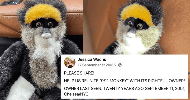 Man seeks to reunite toddler with stuffed monkey family left behind in his car during 9/11 attacks