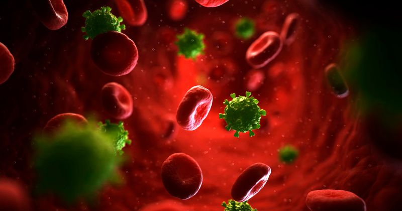 Woman's own immune system believed to have cured her of HIV