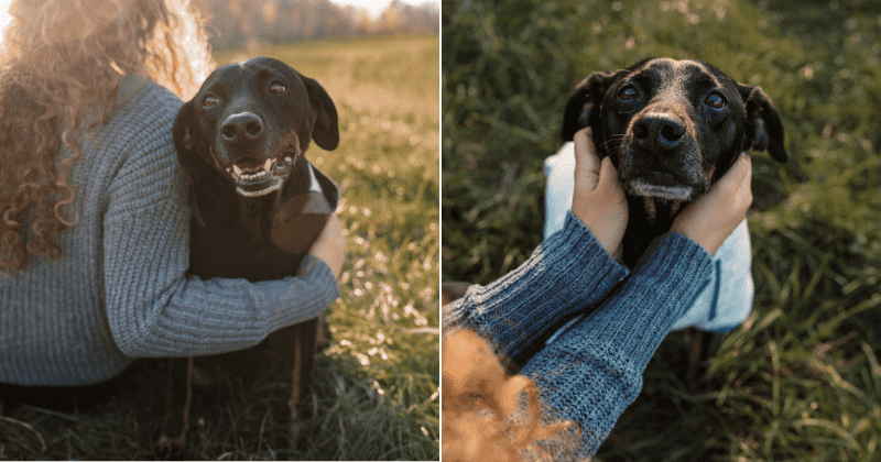 Photographer offers free end-of-life photo sessions for ailing pets and their humans