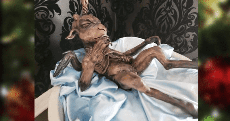 Satanic Temple installs occult figure in ‘nativity scene’ at Illinois Capitol; Christians are mad