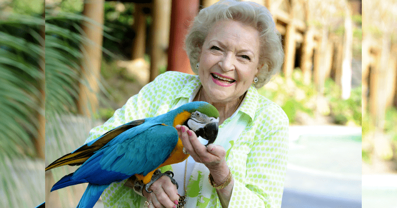 'Betty White Challenge' has fans honoring the actor's love of animals on her 100th birthday