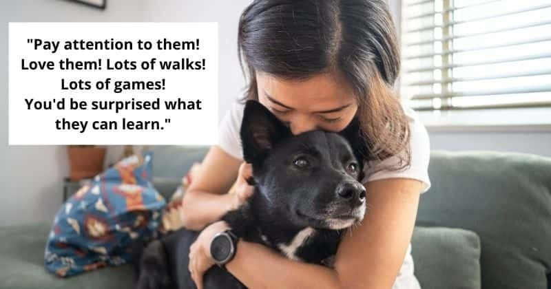 Here's how you can improve your pet's life, according to vets